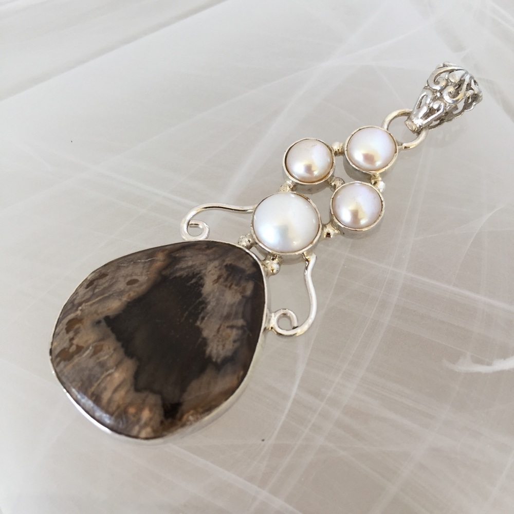Rare Petrified Wood .925 Sterling Silver Pendant
